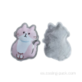 Paquete de hielo de regalo de dibujos animados de gato